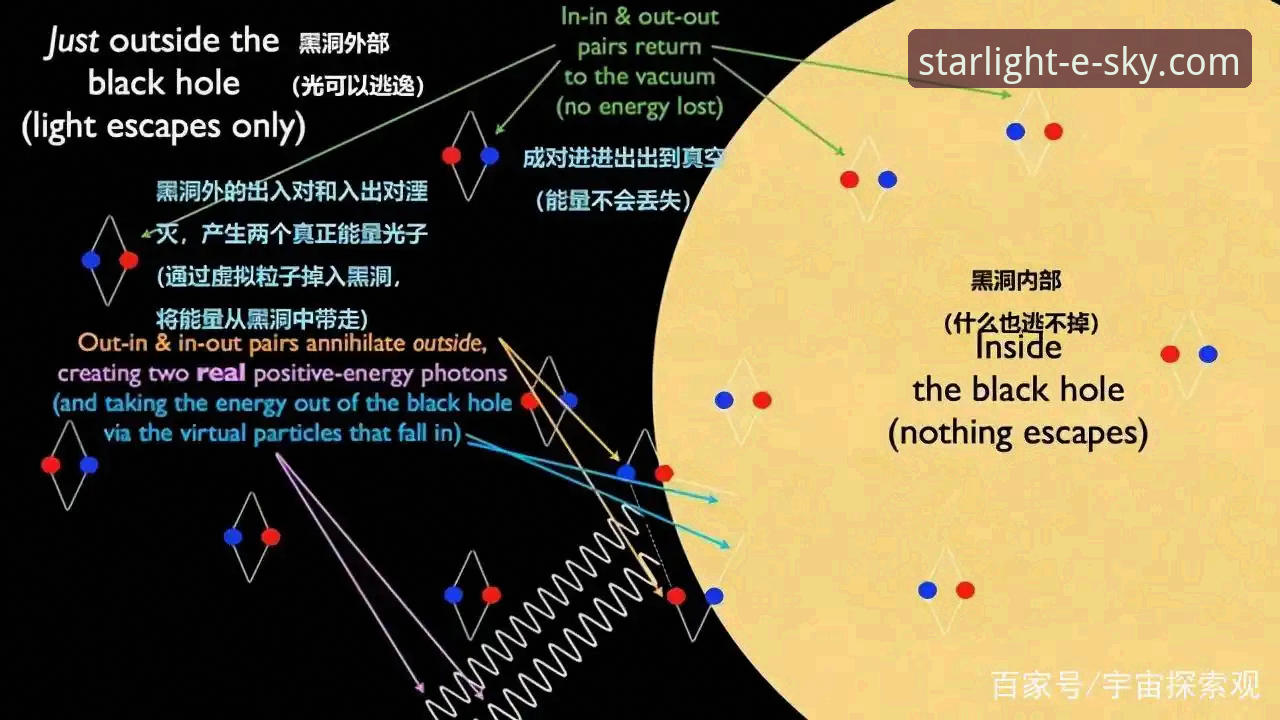 星空入口平台用户评价深度解析与安全使用指南